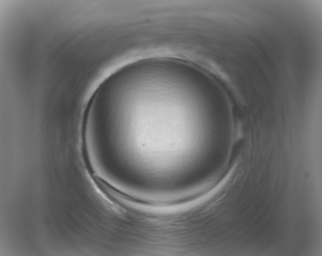 X0000082941512200702011252