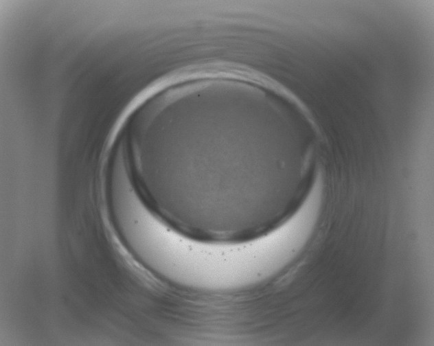 X0000082941514200702011252
