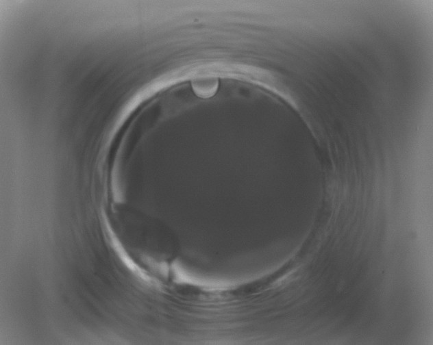 X0000082941515200702011252