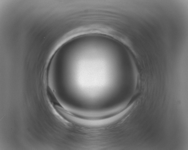 X0000082941516200702011252