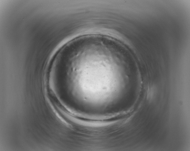 X0000082941517200702011252