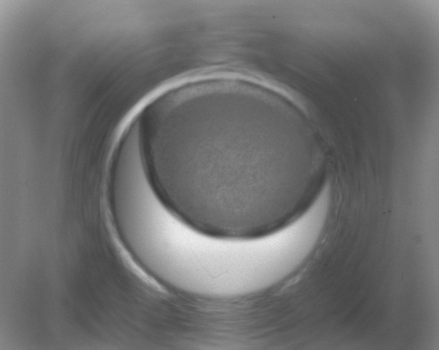 X0000082941518200702011252
