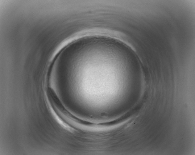X0000082941523200702011252