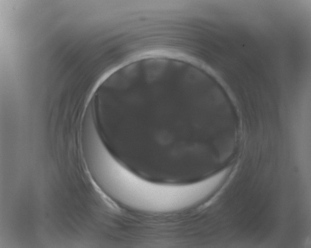 X0000082941529200702011252
