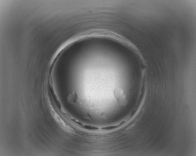 X0000082941530200702011252