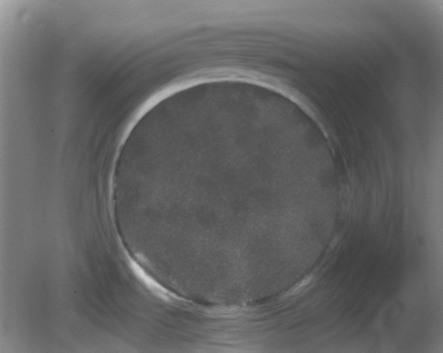 X0000082941535200702011253