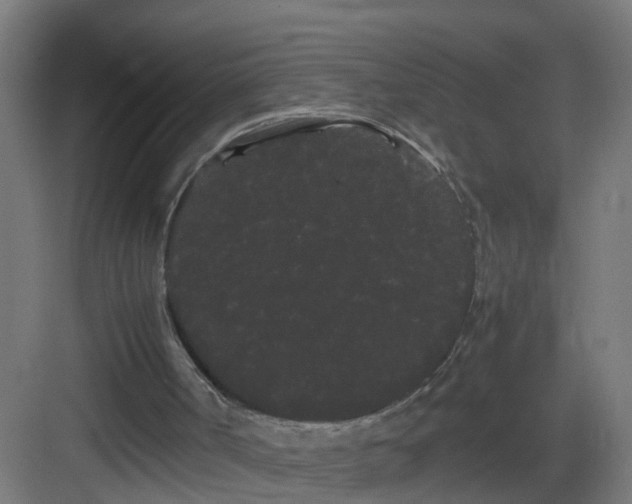 X0000082940002200702081636