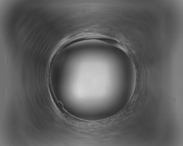 X0000082940003200702081636