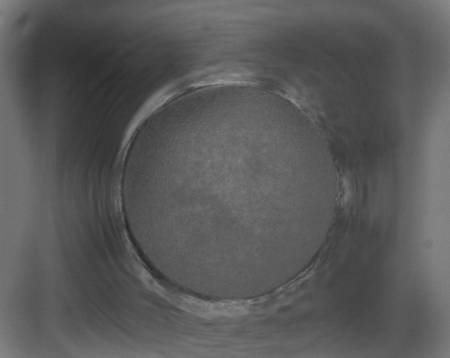 X0000082940004200702081635