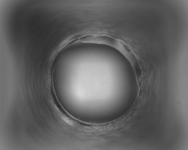 X0000082940005200702081635