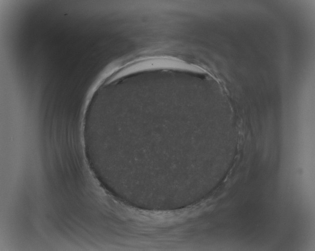 X0000082940006200702081635