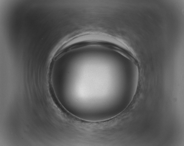 X0000082940007200702081635