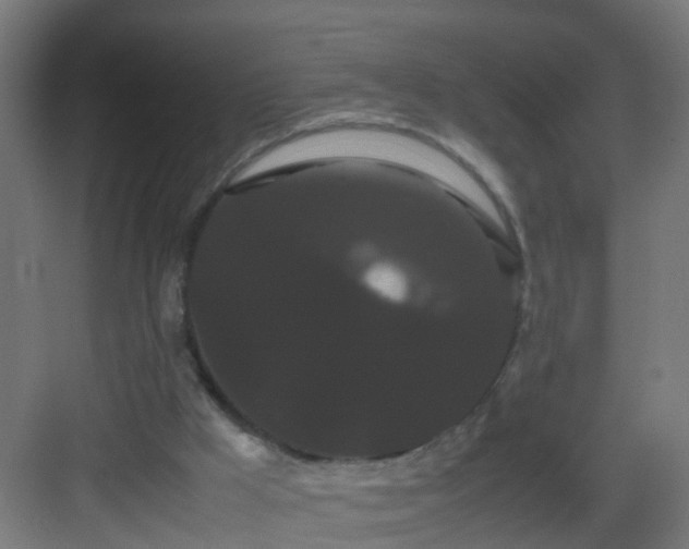 X0000082940009200702081635