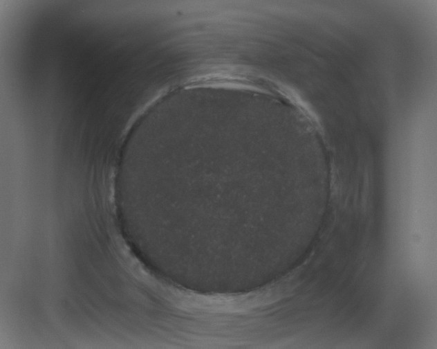 X0000082940010200702081635