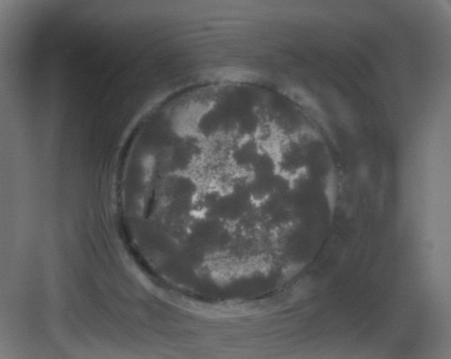 X0000082940012200702081635