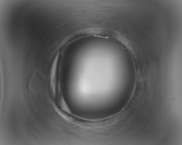 X0000082940013200702081635