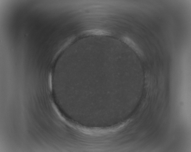 X0000082940014200702081635