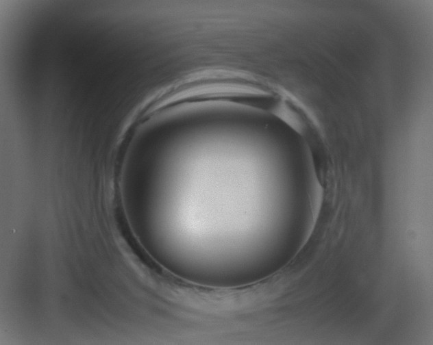 X0000082940015200702081635