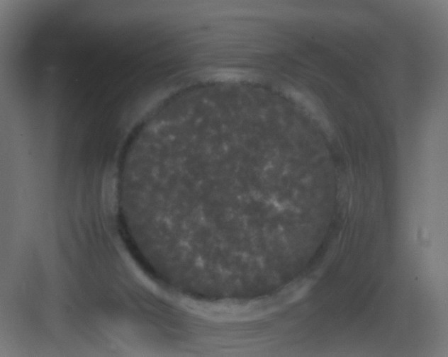 X0000082940016200702081635