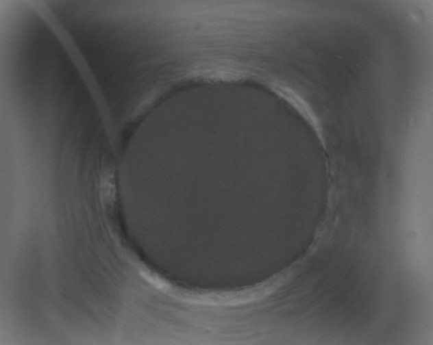 X0000082940017200702081635