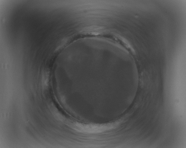 X0000082940018200702081635