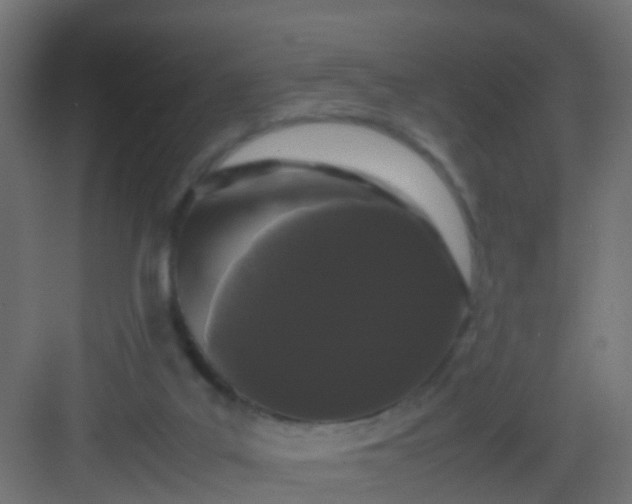 X0000082940019200702081635