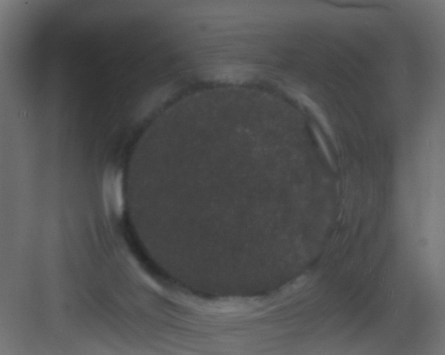 X0000082940020200702081635