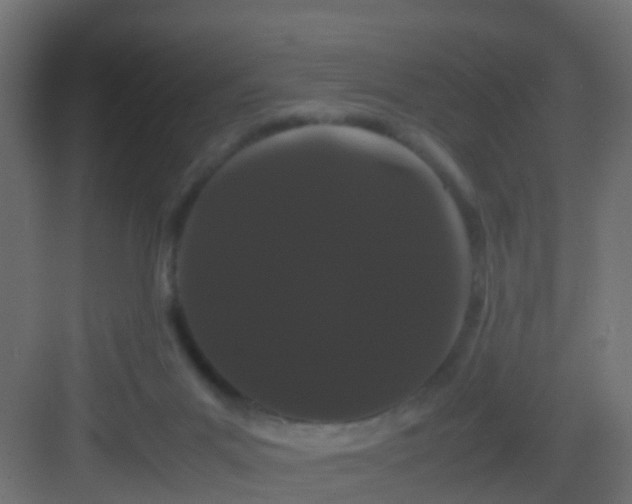 X0000082940023200702081635