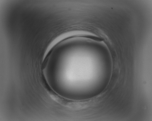 X0000082940025200702081635