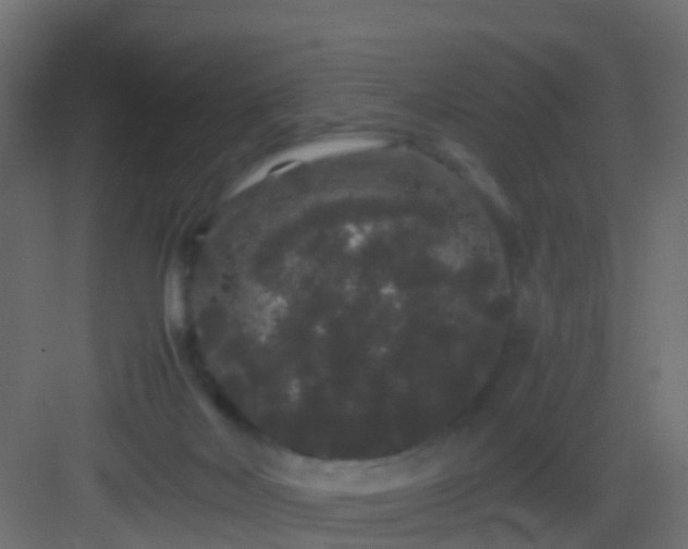 X0000082940026200702081635