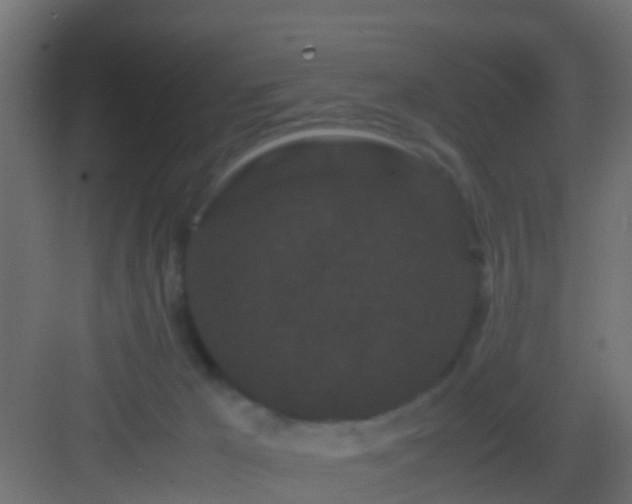 X0000082940029200702081635