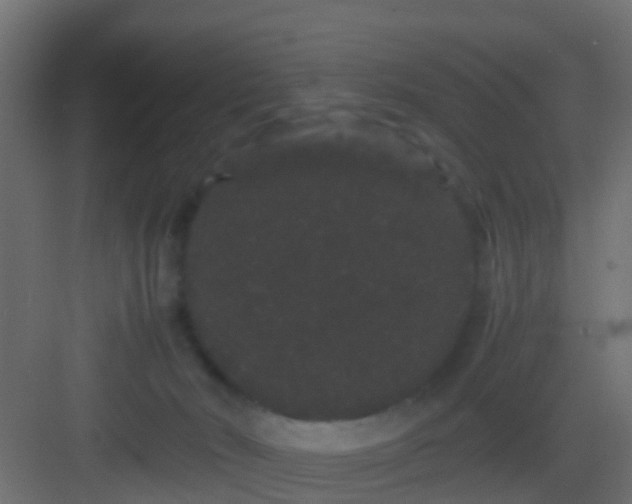 X0000082940030200702081635