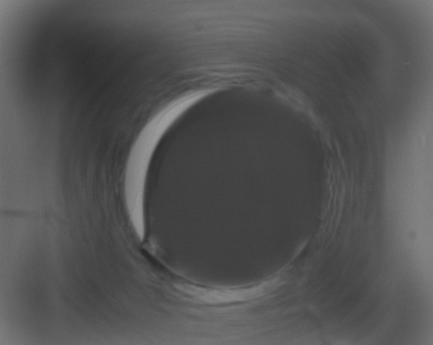 X0000082940031200702081635