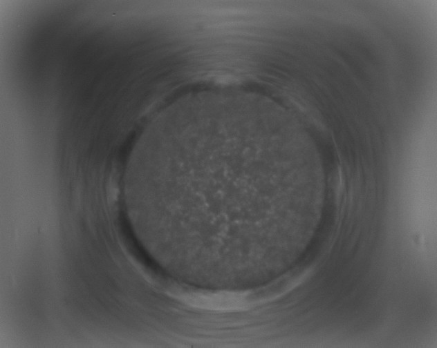 X0000082940032200702081635