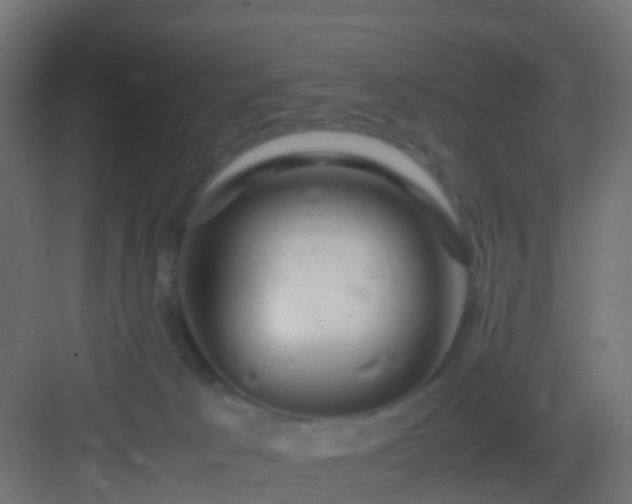 X0000082940033200702081635