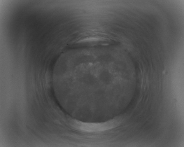 X0000082940034200702081635