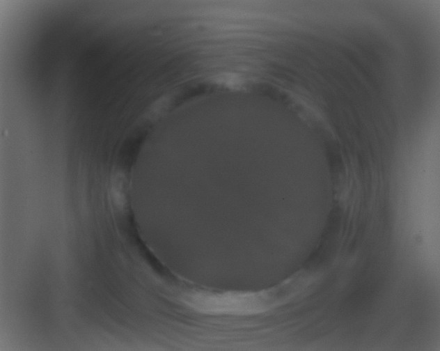 X0000082940036200702081635