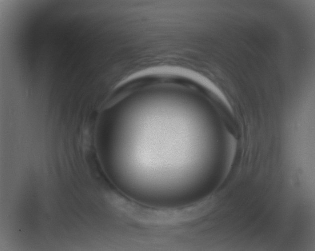 X0000082940037200702081635