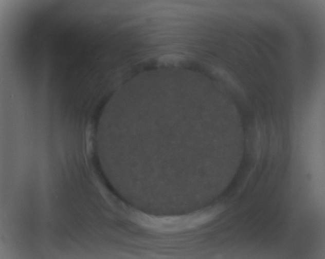 X0000082940038200702081635