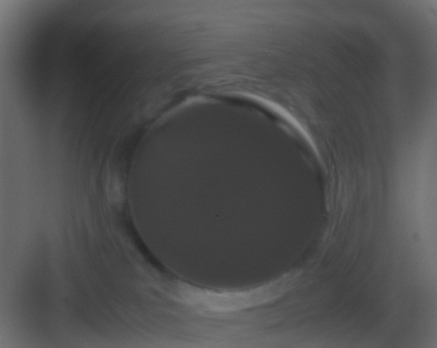 X0000082940039200702081635