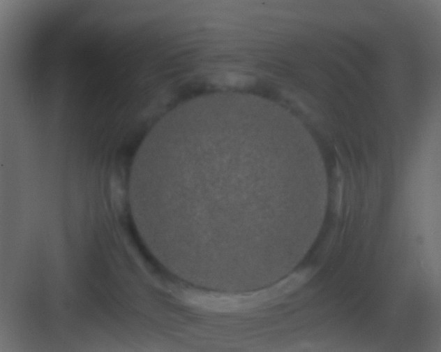 X0000082940040200702081635