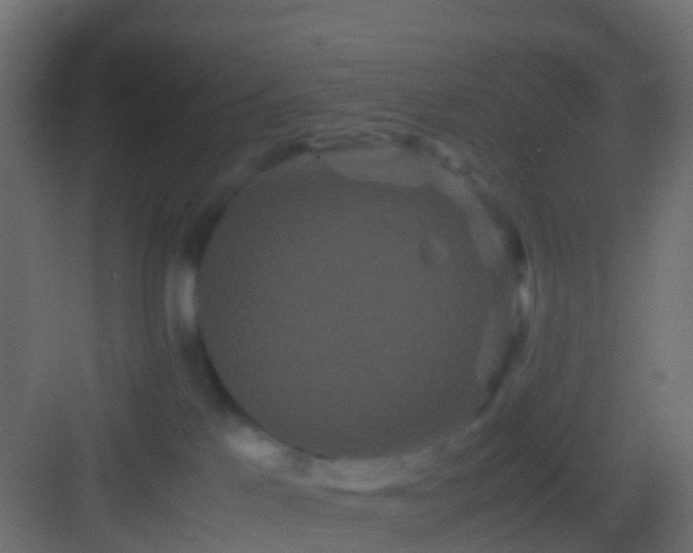 X0000082940041200702081635