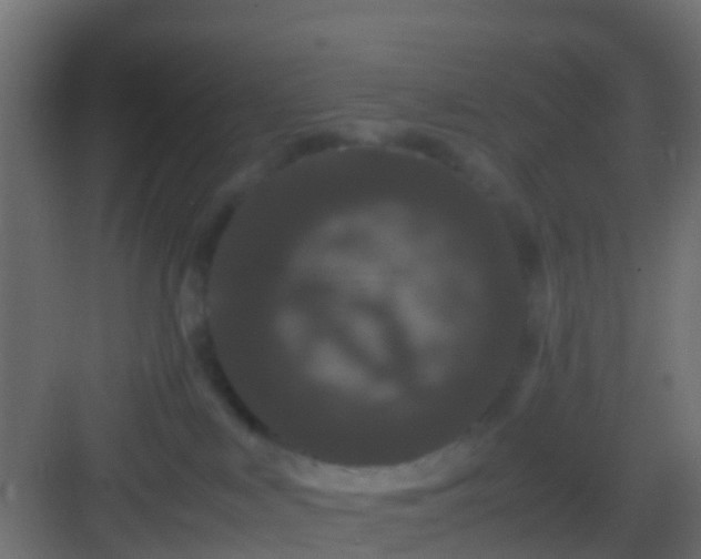 X0000082940043200702081635