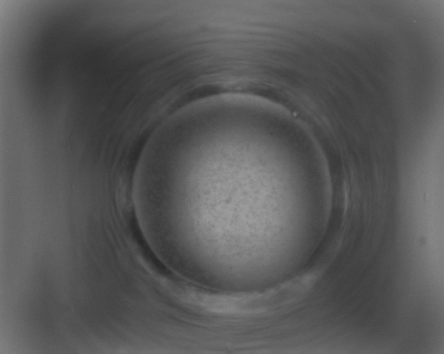 X0000082940044200702081635