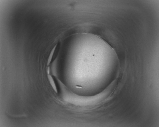 X0000082940045200702081635