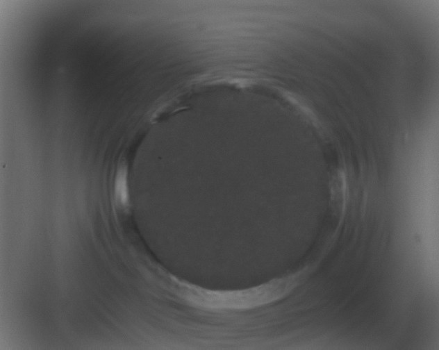 X0000082940046200702081635