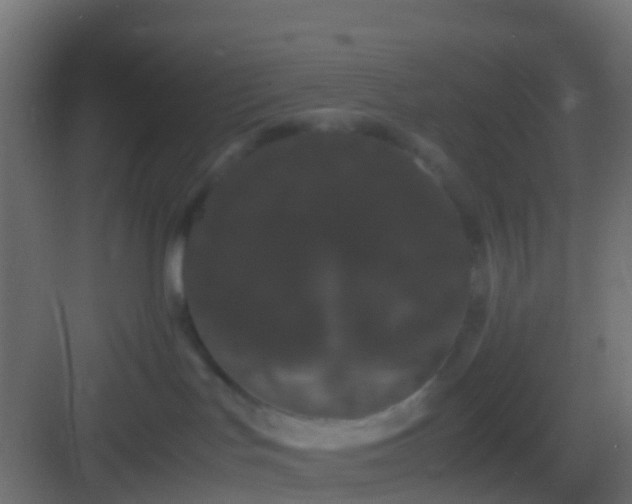 X0000082940047200702081635