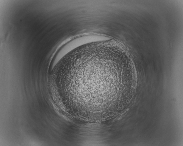 X0000082940050200702081634