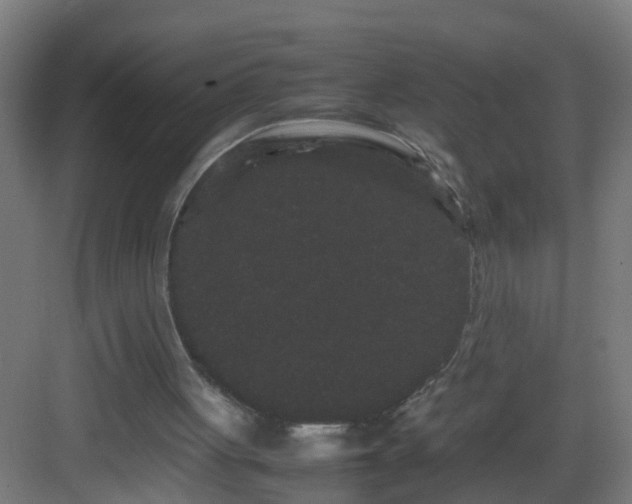 X0000082940051200702081634