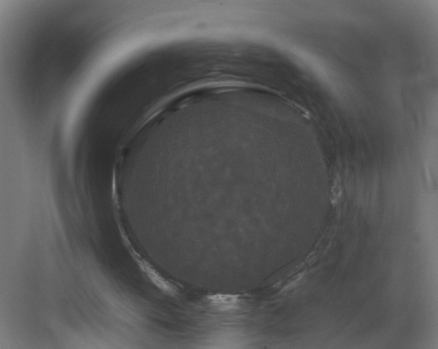 X0000082940052200702081634